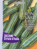 Bio - Zucchini "Striato d`italia", Jungpflanzen Wandsbek - Hamburg Wellingsbüttel Vorschau