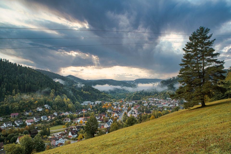 Rustikal-modernes eingerichtetes Blockhaus am Ortsrand in Schenkenzell