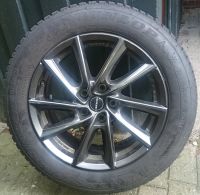 4 Winterreifen Dunlop 225/55 R17 mit Alu Felgen Borbet VT Niedersachsen - Diepholz Vorschau