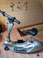 Elektro Scooter Sachsen - Auerbach (Vogtland) Vorschau