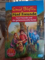 Fünf Freunde Buch Schleswig-Holstein - Lübeck Vorschau