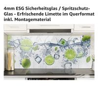 Spritz Schutz Küche *Sicherheitsglas* Hessen - Löhnberg Vorschau