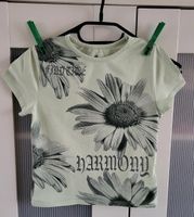 T Shirt  h & m Gr. 146 lindgrün Thüringen - Waltershausen Vorschau