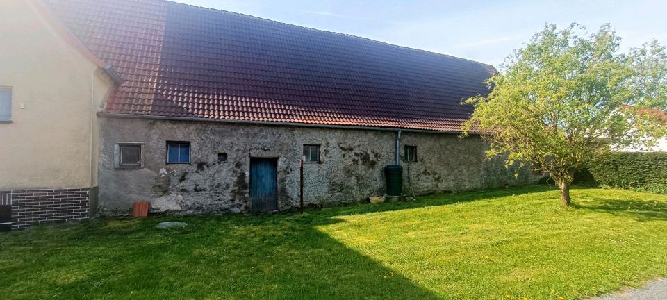 Einfamilienhaus mit Stallgebäude und Garage bei Belgern in Belgern