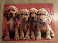 Puzzle 240 Teile SCHMID 4 süße Hundewelpen Nordrhein-Westfalen - Sankt Augustin Vorschau