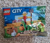 Lego City 30590 Bauernhof Garten mit Vogelscheuche Brandenburg - Groß Lindow Vorschau