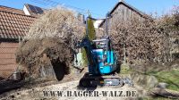 Bagger Wurzelentfernung Heckenentfernung Wurzelstock Baumwurzel * Baden-Württemberg - Grafenau Vorschau