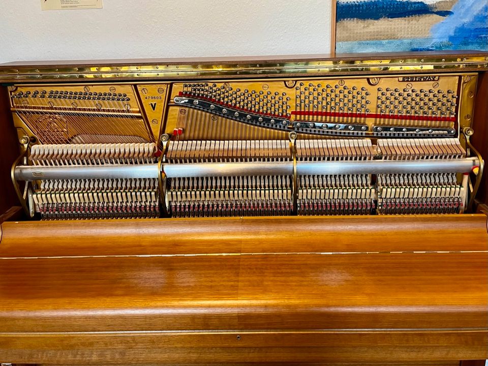 Steinway & Sons-Klavier Modell V-125 in Nußbaum matt Crown Jewel in Verden