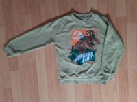 H&M - Sweatshirt Pullover Hoodie Gr. 122/128 Dinosaurier T-Rex Baden-Württemberg - Heilbronn Vorschau