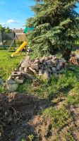 Schutt/Beton und Ziegelsteine zu verschenken Sachsen-Anhalt - Meineweh Vorschau