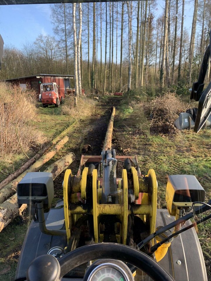 ⚠️Baumpflege,Hubsteiger,Seilklettertechnik⚠️Baumfällung❌, Bagger Sturmschaden Baumschnitt Brennholz vertikutieren in Ellerau 