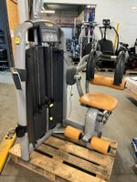 Techogym Selection Line Total Abdominal, Bauchmaschine Baden-Württemberg - Erbach Vorschau