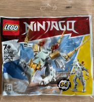 Lego 30649 - Ninjago Polybag - Ice Dragon Creature - Neu OVP Rheinland-Pfalz - Mainz Vorschau