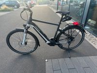 PEGASUS PREMIO EVO 10 LITE 625 WH  Np 4050€ Gr.  60 Bayern - Hösbach Vorschau