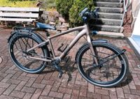 Reiserad Rose Activa Pro, Pinion 12, Rahmengröße 16,5" Nordrhein-Westfalen - Hemer Vorschau