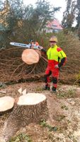 Forstservice Häckseln Mulchen Bauplatz Rodung Hecken schneiden Bayern - Marktheidenfeld Vorschau