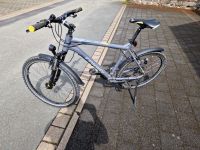 Fahrrad Conway M-Comfort 500 Nordrhein-Westfalen - Dörentrup Vorschau