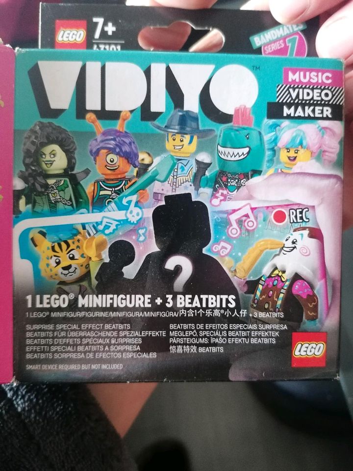 Lego vidiyo in Walsrode