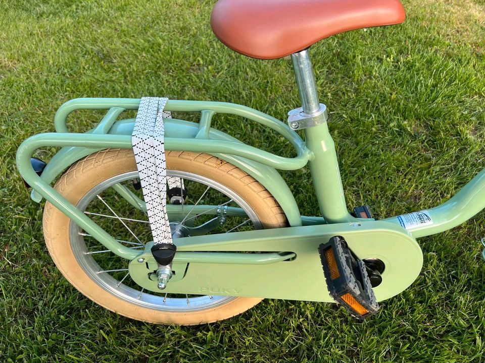 Pucky Kinderfahrrad STEEL CLASSIC RETRO GREEN, 16 Zoll in Wuppertal