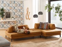 [Suche] W. Schillig maXx Sofa Couch Polstermöbel Sachsen - Reimersgrün Vorschau
