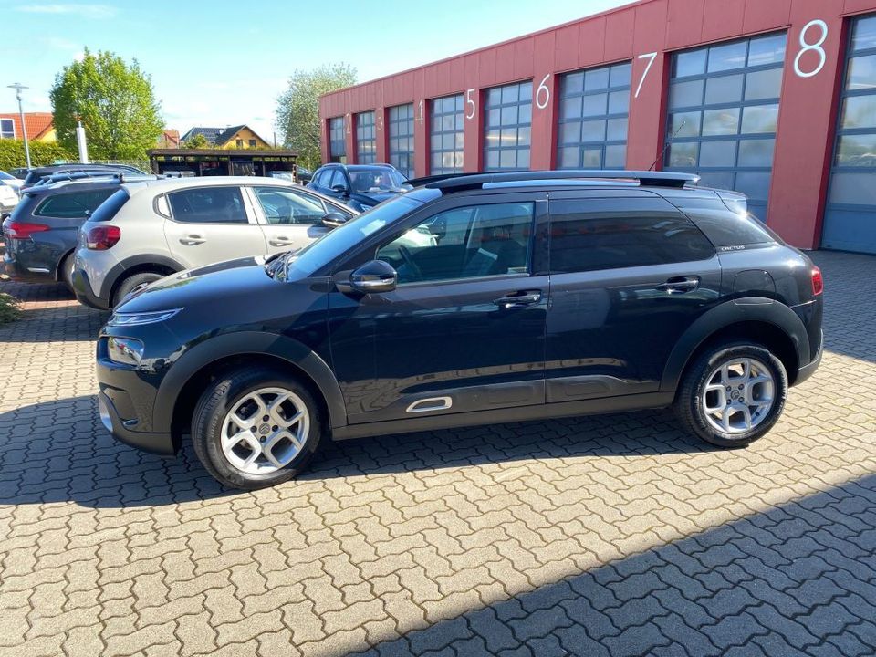 Citroën C4 Cactus PureTech 110 S&S Shine *Sitzh. vorn* in Magdeburg