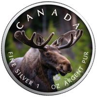Silbermünze Maple Leaf MOOSE CANADA’S WILDLIFE 2021 1 Oz Silber Nordrhein-Westfalen - Selfkant Vorschau