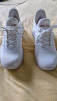 Skechers Bobs Sport Gr 38 NEU mit Karton Bielefeld - Heepen Vorschau