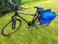 Bergamont 28 Zoll Fahrrad Nordrhein-Westfalen - Detmold Vorschau