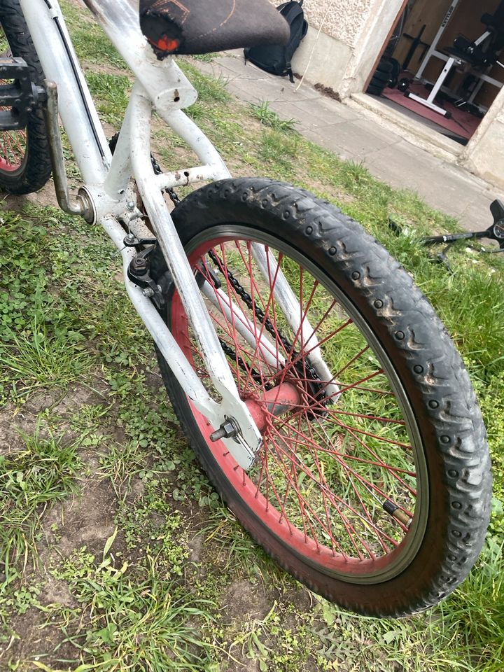 BMX für Anfänger in Coswig