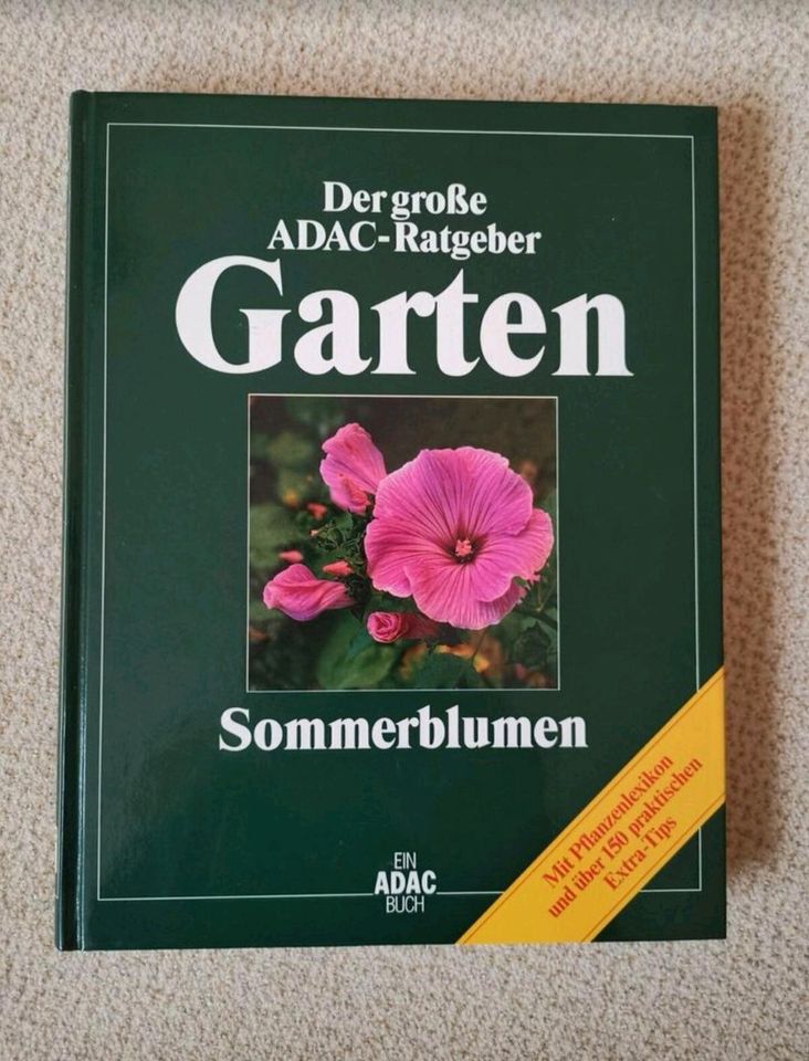 Der große ADAC Ratgeber Garten, Sommerblumen in Stuttgart