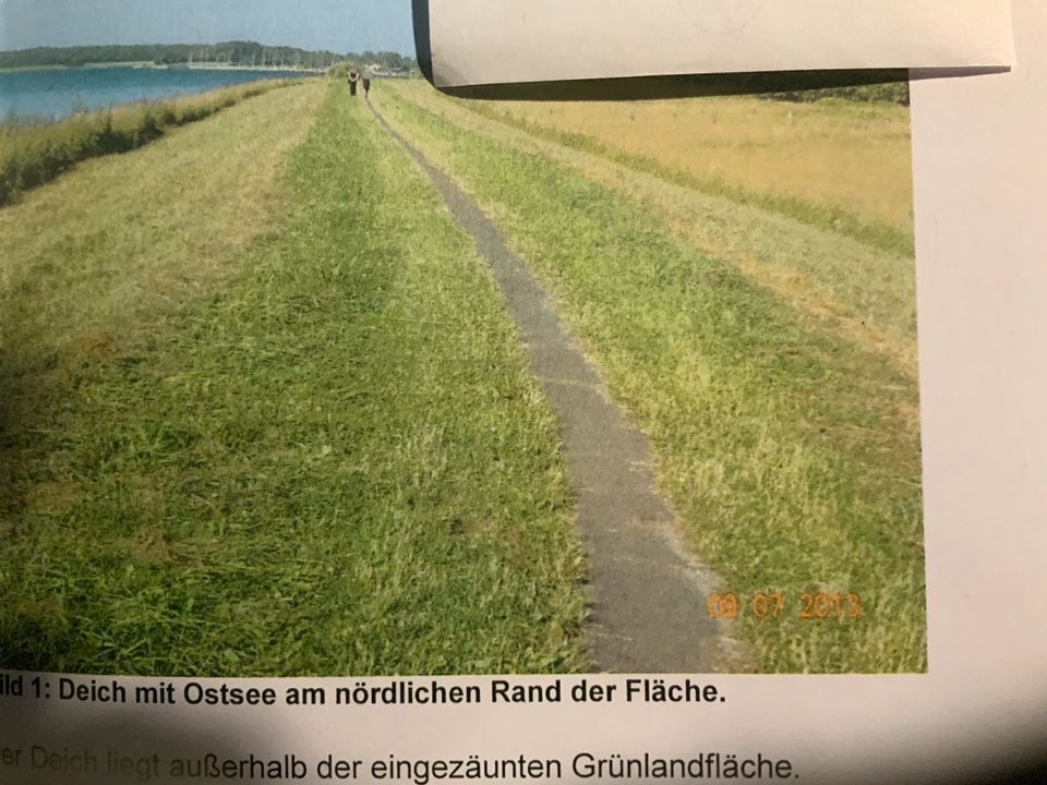 Landwirtschaftliche Fläche in Kappeln