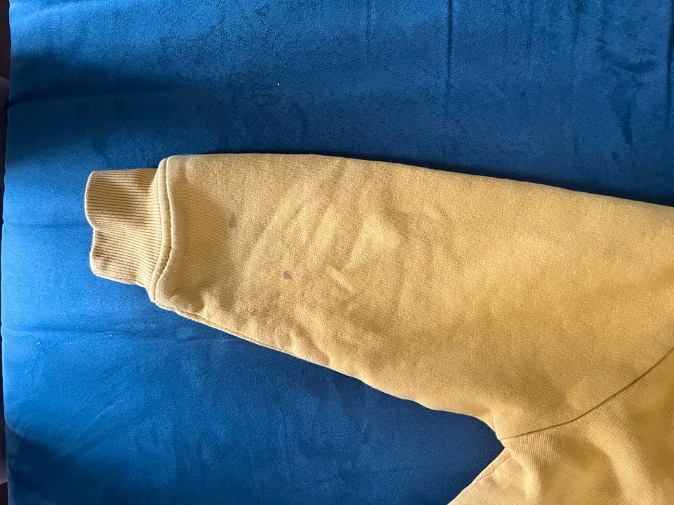 Kapuzenpullover Größe 110/116 Jungen Hoody in Hessisch Oldendorf