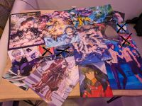 16 Poster und 3 Postkarten Anime SAO, Re Zero, Black Cover, AoT Hessen - Fuldabrück Vorschau