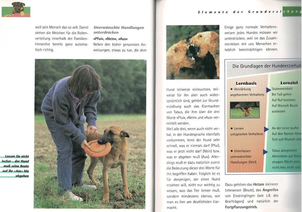 Ursula Birr - Erfolgreiche Hundeerziehung (geb. Ausg. 1995) in Darmstadt