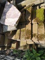 Diverse Steine Pflanzsteine nur Abholung Nordrhein-Westfalen - Niederkrüchten Vorschau