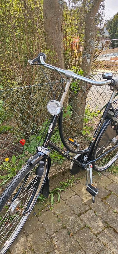 Gazelle Damenfahrrad 28" ORIGINAL 90er Klassiker in Taunusstein