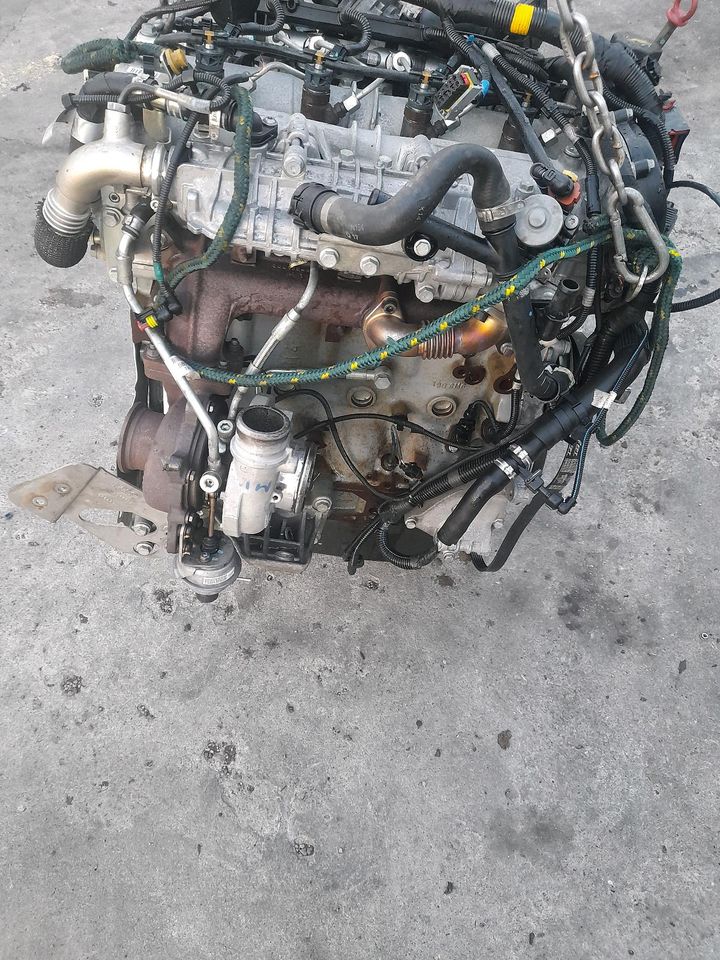 Motor  F1CGL411B   IVECO  3,0 DUCATO 3 0  180PS  31TKM in Neubrandenburg