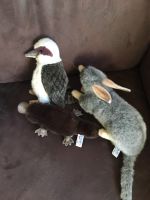 Hansa Toys australische Plüschtiere Kookaburra Bilby Platypus Schleswig-Holstein - Schacht-Audorf Vorschau