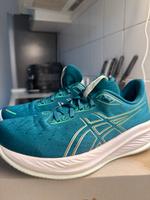 ASICS Cumulus 26 EU 40.5 Schleswig-Holstein - Flensburg Vorschau