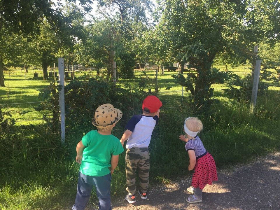 Igelgarten Tagesmutter Kindertagespflege in Ehingen (Donau)