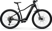 Pedelec Centurion Backfire Fit RR00i 29er - statt UVP 4.249 € - Bosch Perf. CX, 750Wh, Shimano 11G, E-MTB Hardtail, Trekking „OrangeBikeConcept in Karlsruhe EBike Elektro-Rad" 6616 Baden-Württemberg - Karlsruhe Vorschau