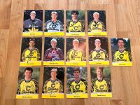 Borussia Dortmund BVB Autogrammkarten 94/95 Nordrhein-Westfalen - Ratingen Vorschau
