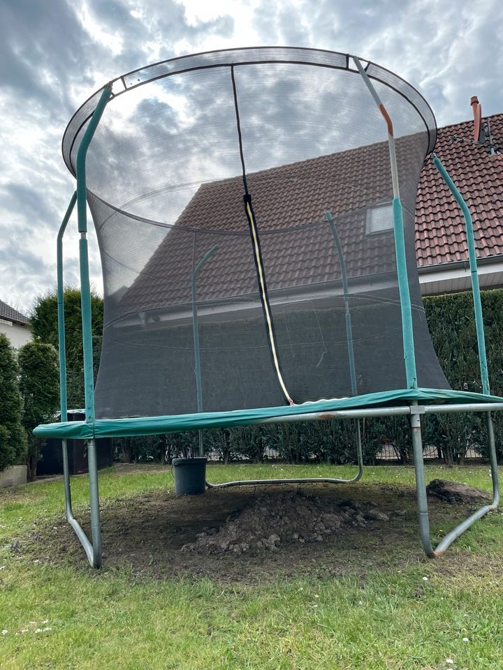 Trampolin von Techsport - Standort Castrop Rauxel in Gelsenkirchen