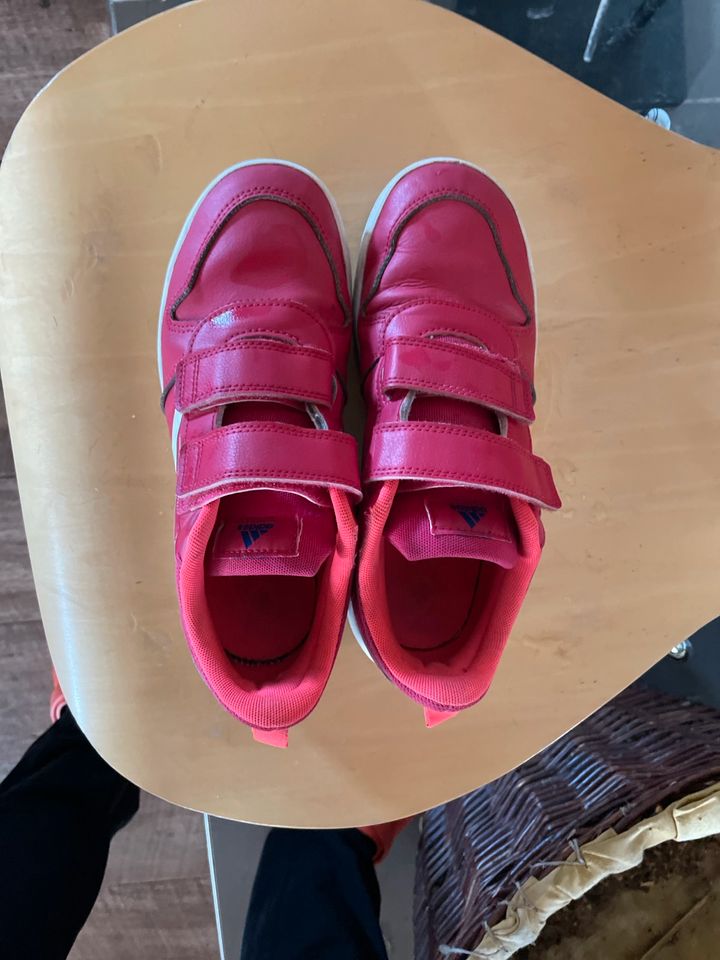 Turnschuhe Adidas Leder Gr.36 10€ in Bretleben