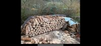 Brennholz Raummeter Rundholz oder gespalten Feuerholz Ofen Kamin Rheinland-Pfalz - Becherbach Vorschau