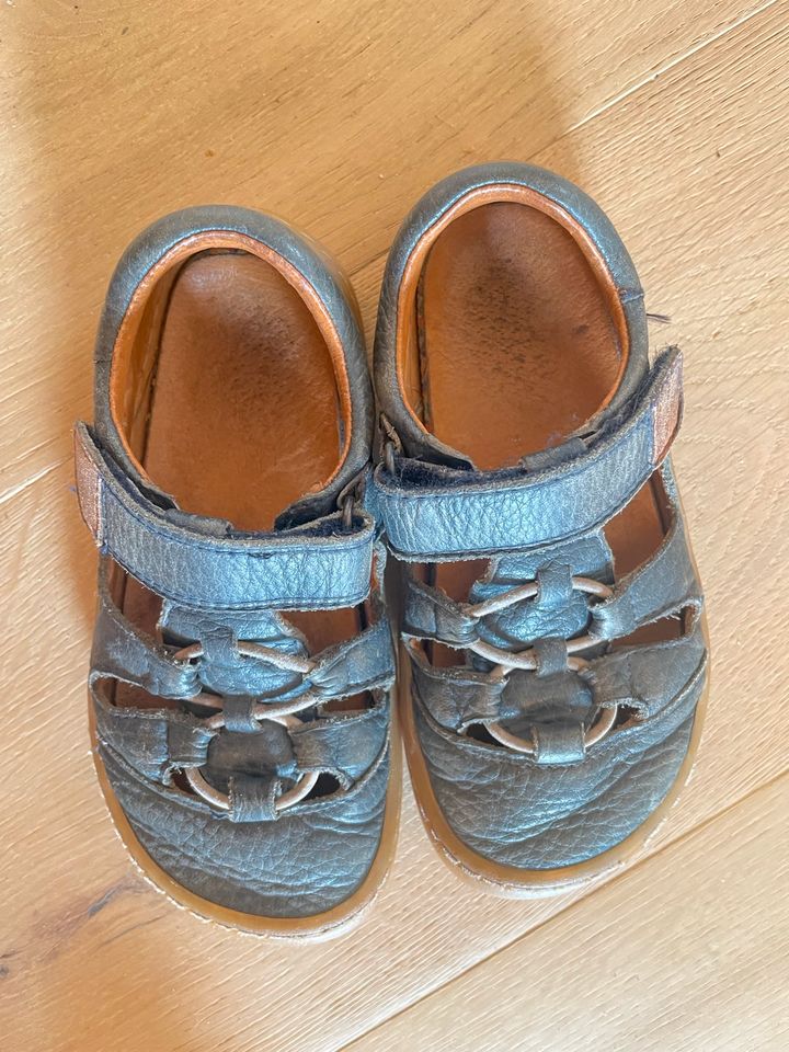 Froddo Barfuß Sandalen 27 blau 25 Galucci braun Kavat bio Leder in Lüneburg