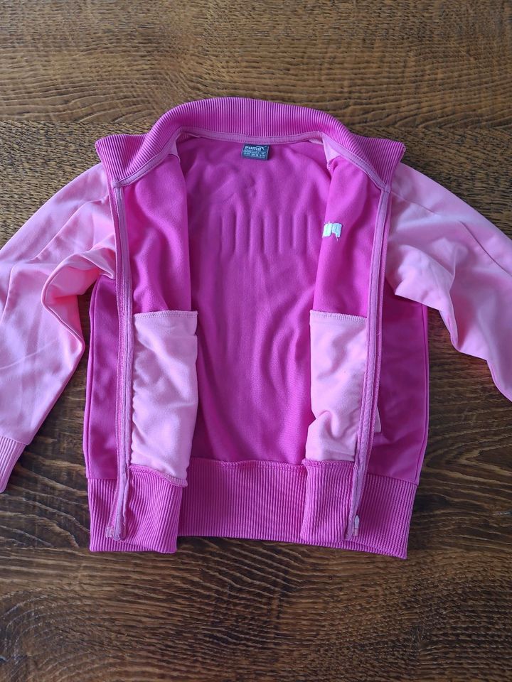 Puma Joggingjacke Gr 104 rosa pink in Espenau