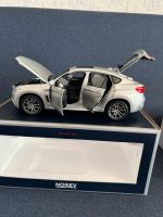 Norev BMW X6M Silber 1:18 OVP Modell Modellauto Bayern - Denkendorf Vorschau