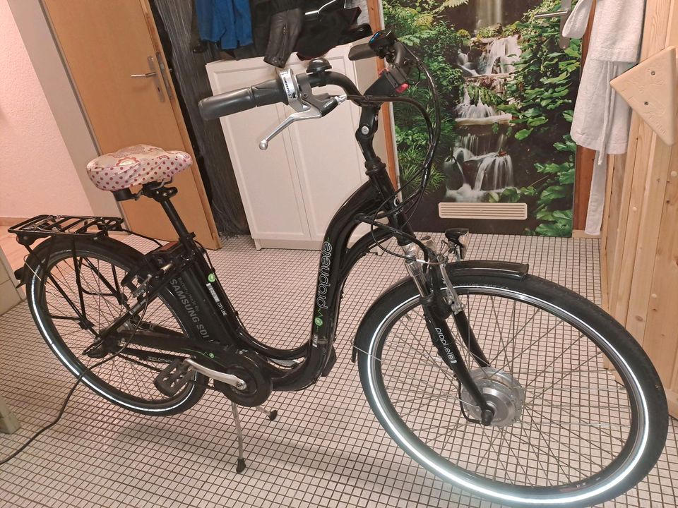 Prophete Damen Ebike in Voerde (Niederrhein)