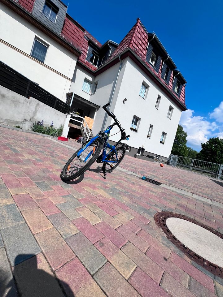 Kinderfahrrad Pegasus Avanti 24 Zoll in Torgau